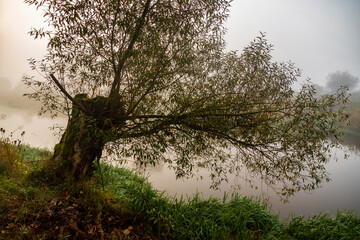 Jesień w Dolinie Górnej Narwi, Podlasie, Polska