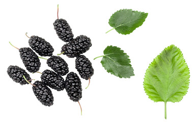 Mulberries isolated on white background with clipping path, top view