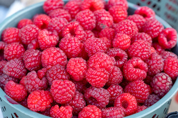 Container of a pile of Red Juicy Raspberries at the farmers market