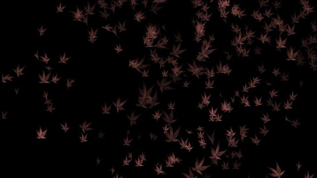Animation of particles in shape of autumn leaves with various transitions in space during time sequence.