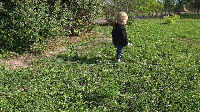 Little cute boy, blond 2 years old. Follows the butterfly on the green autumn grass in the city park. Slow motion shooting.
