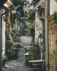 Alley with plants in romantic town in Germany