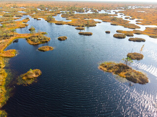 The swamps of Belarus are the lungs of Europe. Space planet. The ecological situation in the world. Global environmental problems. Natural background. View from the copter.