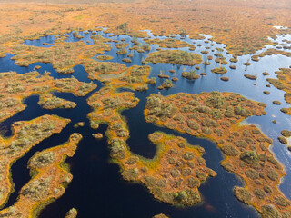 The swamps of Belarus are the lungs of Europe. Space planet. The ecological situation in the world. Global environmental problems. Natural background. View from the copter.