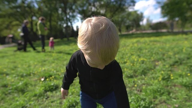 Little cute boy, blond 2 years old. Consider the flowers on the green autumn grass in the city park. Slow motion shooting.
