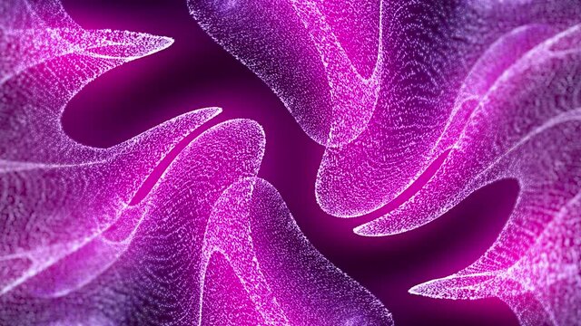 Abstract magenta motion background with looping fractals.