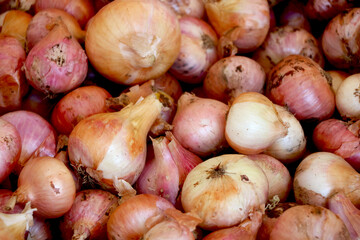 Bunch of new harvest yellow and red onions at local farm market