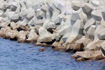 海岸の消波ブロック