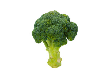 Fresh tasty broccoli isolated on white background.