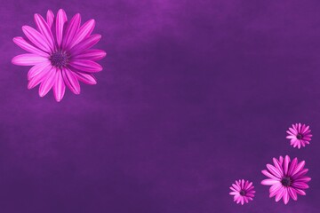 Violet floral background with pinkish flower heads and free copy space