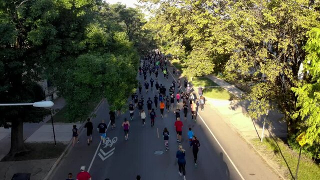 Runners on City Street Covered by Green Trees and Sunlight