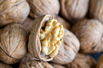 Ripe and raw whole big walnut kernel with thin shell on wooden rustic backdrop. Healthy nut food for brain. Fresh walnuts background concept