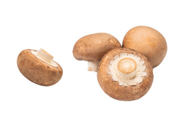 Tasty mushroom isolated on white background.