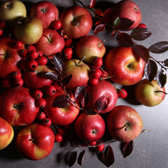 Composition with red apples and hawthorn berries. Autumn still life background with fruits, top view.