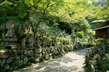 秩父札所金昌寺　羅漢群