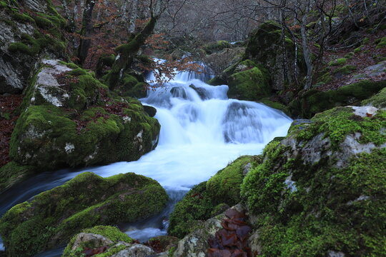 Castilla y Le&oacute;n. Le&oacute;n. Argovejo.  Los r&iacute;os son lugares que renuevan nuestro esp&iacute;ritu, nos conectan con nuestro pasado y nos vinculan directamente con el flujo y el ritmo del mundo natural&rdquo;. Ted Turner