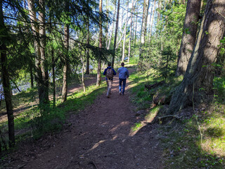 Two young men confidently walking in the park in the daytime. Rear view photo.