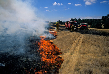 Self contained water tender fire trucks dowse grassland fire, Northern California 