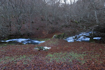 Castilla y León. León. Argovejo.  Los ríos son lugares que renuevan nuestro espíritu, nos conectan con nuestro pasado y nos vinculan directamente con el flujo y el ritmo del mundo natural”. Ted Turner