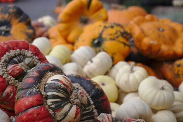 Different varieties of squashes and pumpkins on straw Colorful vegetables top view