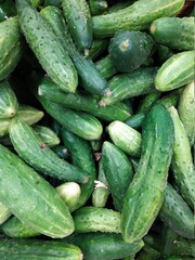 lot of cucumber in the market closeup photo
