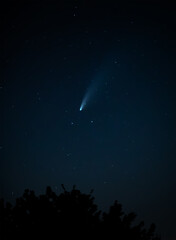 Comet Neowise tracking across the night sky above treetops