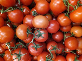 lot of tomatoes in the market closeup photo