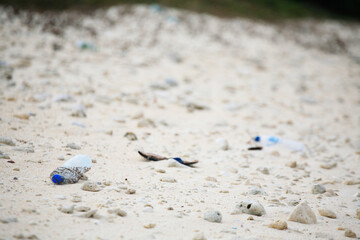 珊瑚の海岸漂着ゴミ