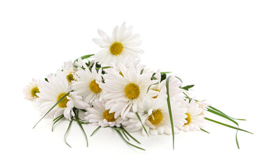 Bouquet of white chamomile.