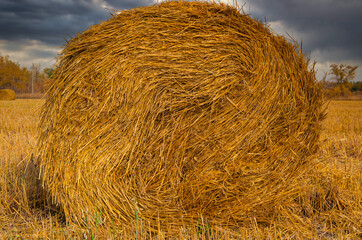 straw is rolled into a roll