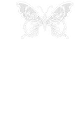 Butterfly 
flutter
flowers
love