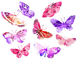 Pink and purple abstract watercolor butterflies,