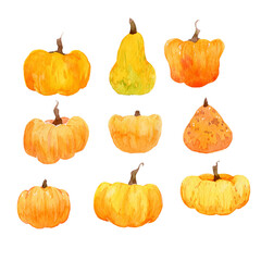 cute watercolor pumpkins. botanical set