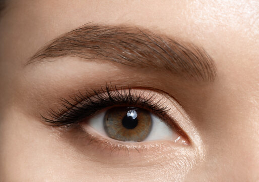 Close-up front view of beautiful brown eye with a neat eyebrow of a caucasian woman. Mascara on the eyelashes. Woman with natural makeup. Healthy vision concept.
