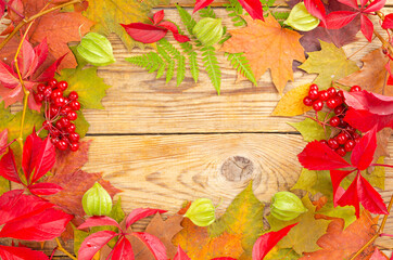 Naklejka na ściany i meble Collage, frame from autumn bright leaves and berries on wooden background. Studio Photo
