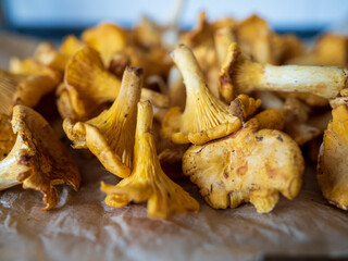 Nahaufnahme von Pfifferlingen