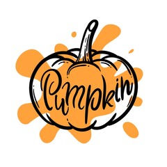 stylized berries. orange pumpkin on white background