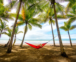 Hammock on Beach with Palm Trees