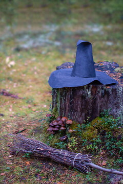 the witch's pointed black hat is lying on a stump overgrown with moss and mushrooms next to it lies a broom helluin the witch