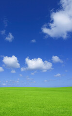 Fototapeta premium 草原と空