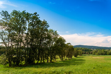 Trees Field Landscape Mountains
