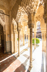Courtyard of the Lions in the Alhambra Granada, Spain