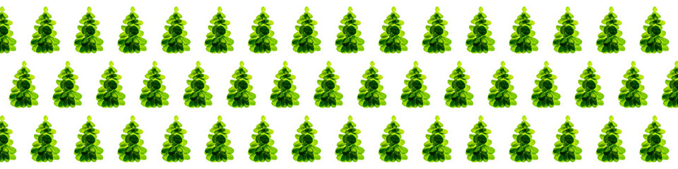 Holiday pattern made of fresh green mint leaves as Christmas tree.