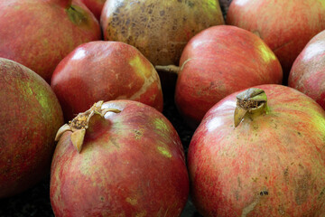 Pomegranate natural background with close up on a ripe granates ready for juice press.