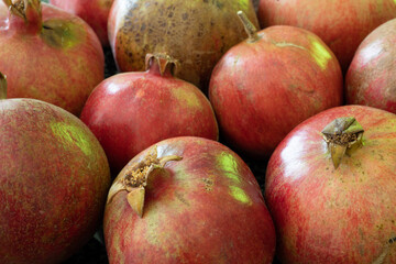 Pomegranate natural background with close up on a ripe granates ready for juice press.