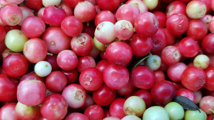 Ripe juicy cranberries from the forest