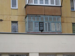 Black cat in the window on the balcony. Eastern Europe