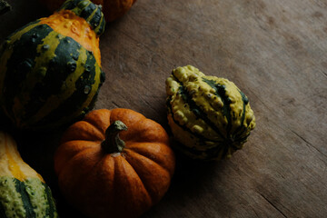 Top view of autumn gourds with mini pumpkin on rustic wood background for fall season.