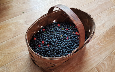 Freshly picked blueberries. Juicy and fresh blueberries with green leaves. Blueberry antioxidant. Healthy food and nutrition concept