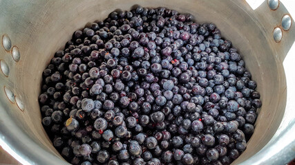 Freshly picked blueberries. Juicy and fresh blueberries with green leaves. Blueberry antioxidant. Healthy food and nutrition concept